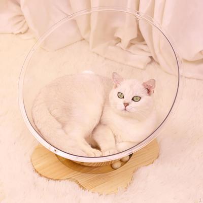 Clear Capsule Cat Bed Activity Center Supplies Breathable Sleeping Nest Hammock for