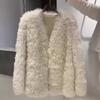 Autumn and winter new fur integrated lamb plush imitation fur coat women's coat short curly top