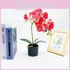 Simulated Phalaenopsis Potted Artificial Flower For Garden And Outdoor Decor