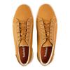 Timberland Mens Seneca Bay Canvas Low Cut Platform Trainers