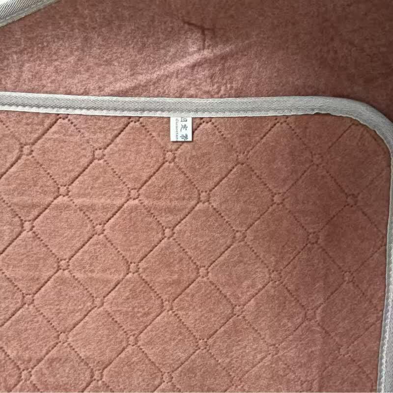 ZISIZ Dual Control Electric Blanket