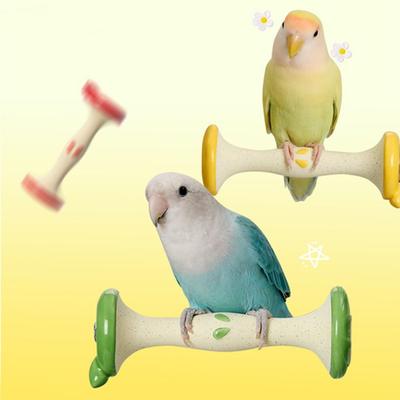 Creative Parrot Standing Stick Fruit Core Shaped Grinding Claws Bird Paw Grinding Sturdy Wear Resistant Claw Trimming Tool