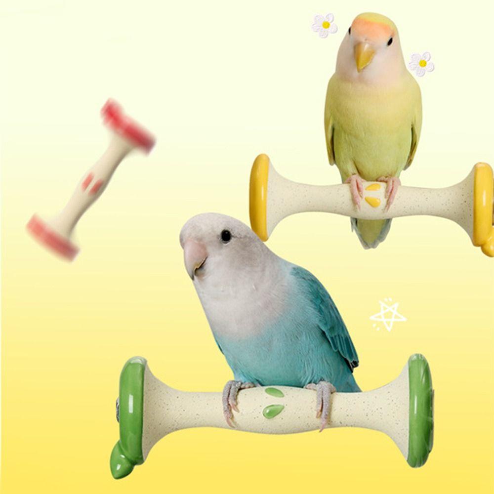 Creative Parrot Standing Stick Sturdy Fruit Core Shaped Bird Perch Stand Grinding Claws Durable Claw Trimming Tool Perch Shelf