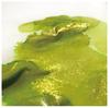 18ml Glass Bottle Color Gold Powder Ink Tonable Non-carbon Vegetable Dye Art Dip Pen Watercolor Painting Creation Toning Ink