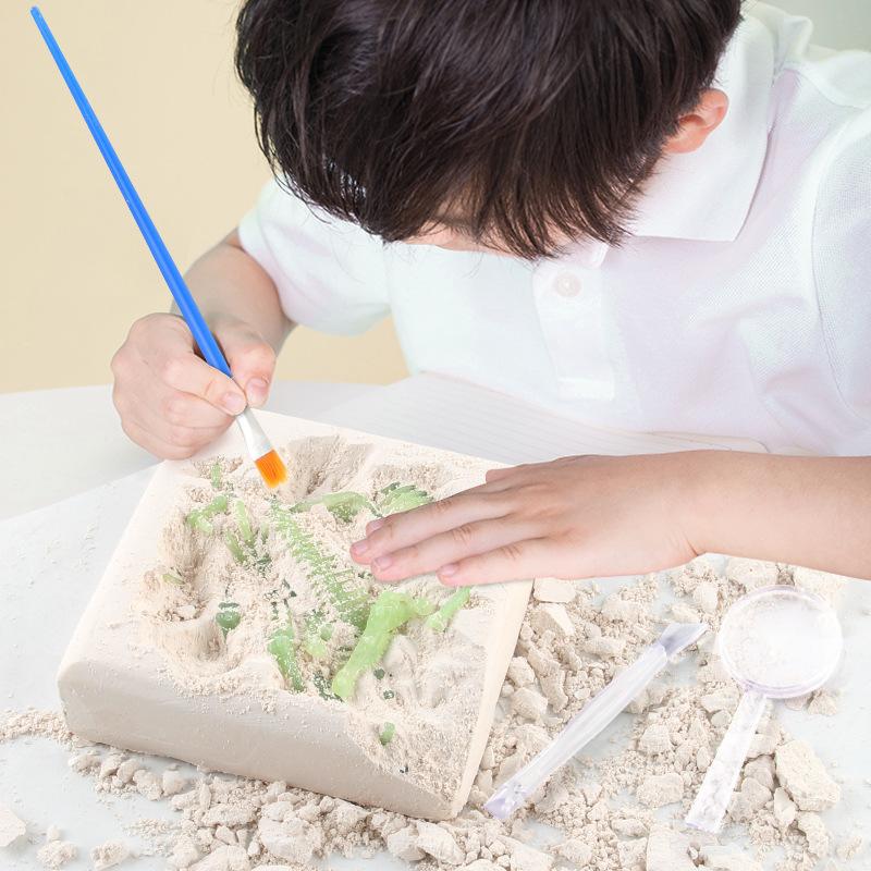 Source Assembly Gypsum Archaeological Skeleton Dinosaur Technology Toy 3D Dinosaur Fossil Skeleton Model