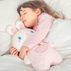 Bunny Doll Bear Doll Baby Children's Companion Soothing Sleeping Pillow Rag Doll Girl Plush Toy