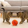 Bite Resistant Smart Dog Toy Ball Wear Resistant Durable Automatic Moving Ball Toy with Light USB Rechargeable