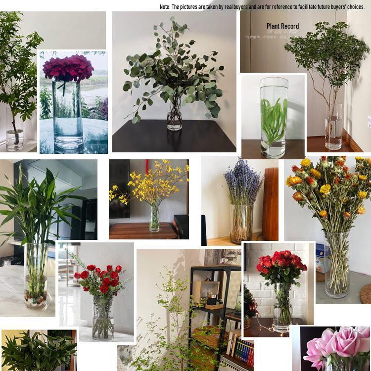 Bardzo Duży Przezroczysty Szklany Wazon do Salonu lub na Stół Jadalny - Idealny do Bambusa, Suszonych Kwiatów i Aranżacji Wodnych