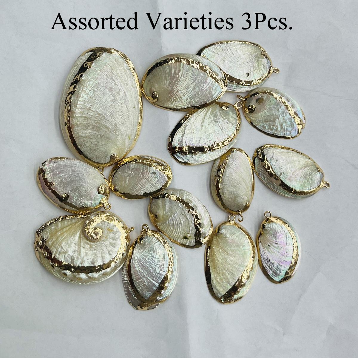 

3Pcs, White Shell Zinc Alloy Pendant with Golden Edges, Boho Handmade Irregular Charms for Jewelry Making DIY Necklace Accessories, Unisex Crafts 3Pcs/20-30×40-50mm білий