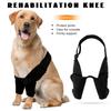 Dog Full Elbow Brace Protector for All Dog Breed for Canine Elbow Shoulder Elbow Front Leg Brace Leg Joint Knee Protectors
