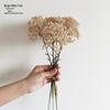 Wabi-Sabi Retro Floral Arrangement with Eucalyptus & Reed Grass for Home Decor & Photography