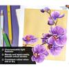 BRUSTRO Artists' Watercolour Pencil (In Elegant Tin Box) Set of 72