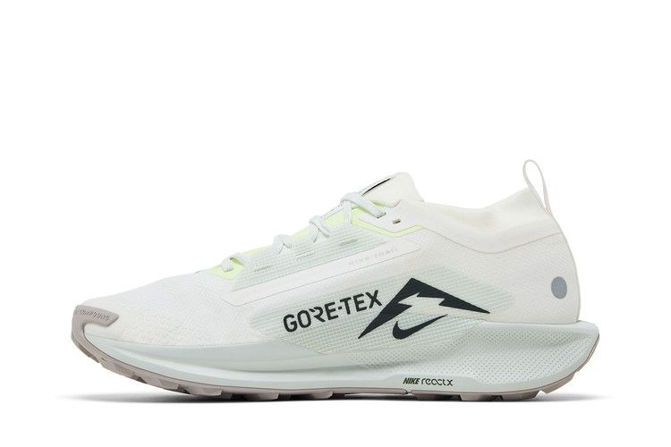 Nike Pegasus Trail 5 Gore-Tex Summit White Light Silver College Grey