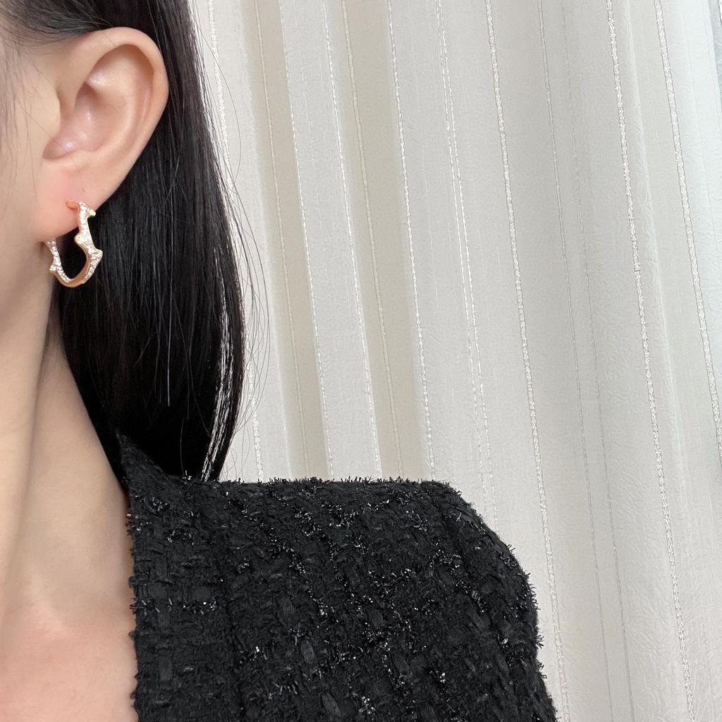 2023 Vintage Beliebte Marke Ohrringe für Frauen Feine Qualität Ranke Diamant Ohrhänger Luxusschmuck Modedesigner Damenohrringe