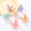 Hair Claw Clip Princess Elegant Catch Barrettes Hair Jaw Clip Decorations