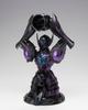 Saint Seiya Myth Cloth EX Aquarius Camus (Surplice)