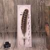Dipped In Water Signature Ink Pen Fountain Pen Feather Dip Pen Peacock Feather Pen  Birthday Gift