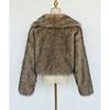 Women's Autumn and Winter New Imitation Fur Jacket Top, Women's Artificial Fur Short Plush Jacket