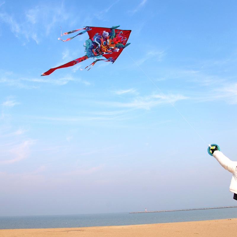Lucky Dragon Kite: High-End, Easy-Fly Breeze for Kids & Adults with Line Wheel