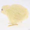 Chick Plush Animal Sound Figurine Chicken Decor Kid Teaching Toy