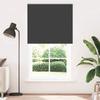 VidaXL Blackout Roller Blind Fabric Width 126.6 Cm Polyester 4010952
