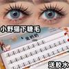 Mogugu - False Eyelashes