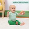 Winnie the Pooh Oball Rattle by Kids II Bright Starts -