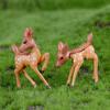 Deer Animal Plant Fairy Garden Miniature Landscape Crafts Decor Ornament