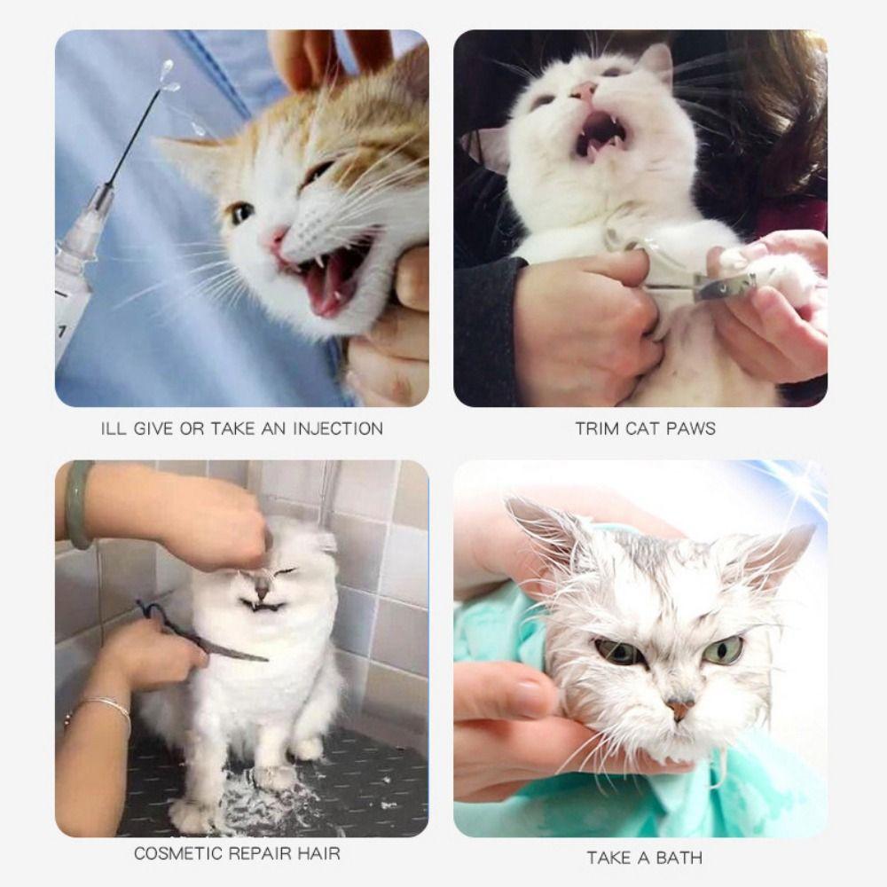 Beißschutz Atmungsaktiver Katzenmaulkorb Transparente Katzenkopfbedeckung Leichte Katzenraumhaube Haustierpflege