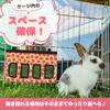 Timothy Pasture Large Guinea Small Animal Feeding Rabbit Container, Rabbit, Container, Capacity, Pig, Chinchilla, Container, (Strawberry)