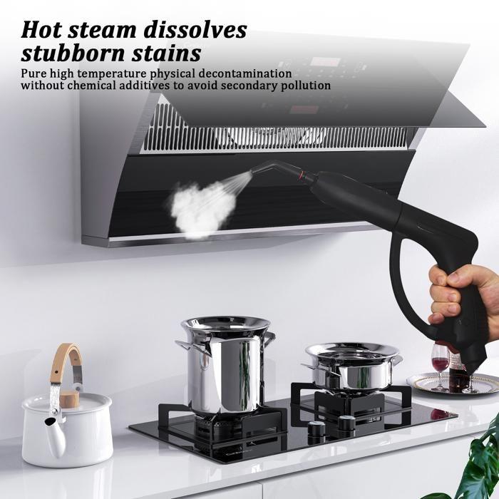 Steam Cleaner 2 L 2000 W Quick Heating Cleaning 5 Bars Steam Cleaner High Pressure Portable for House, Car, Floors