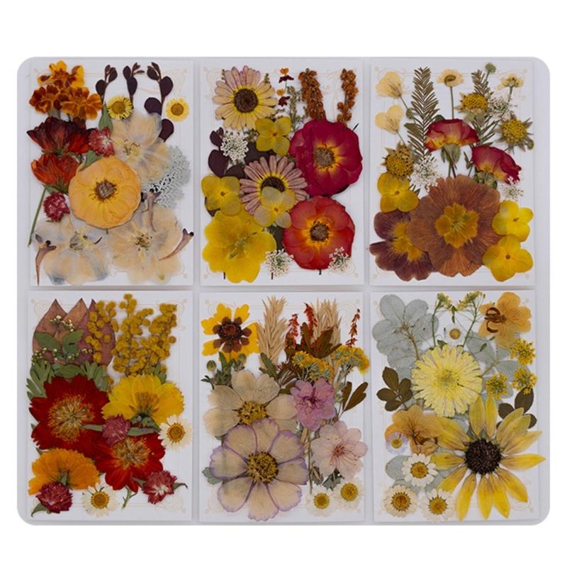 Natural Pressed Dried Flower For Epoxy Resin Dry Flowers and Leaves Set for Soap Candle Jewelry Making Scrapbooking