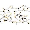 Spice OF LIFE LED Garland Bohne Black 60 LEDs Operated NHXK3910BK Approx. 2.5m Battery / USB Direct from Japan