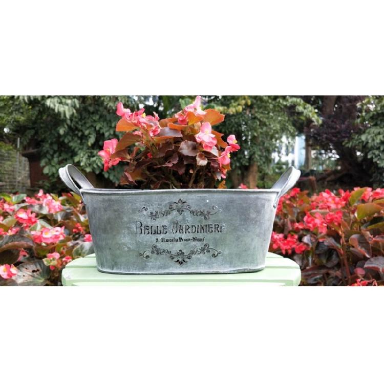 Blumentopf Pflanzgefäß Eimer Metallkübel Blumentöpfe Hochbeete Bauernhaus Pflanzkübel Gartenpflanzer
