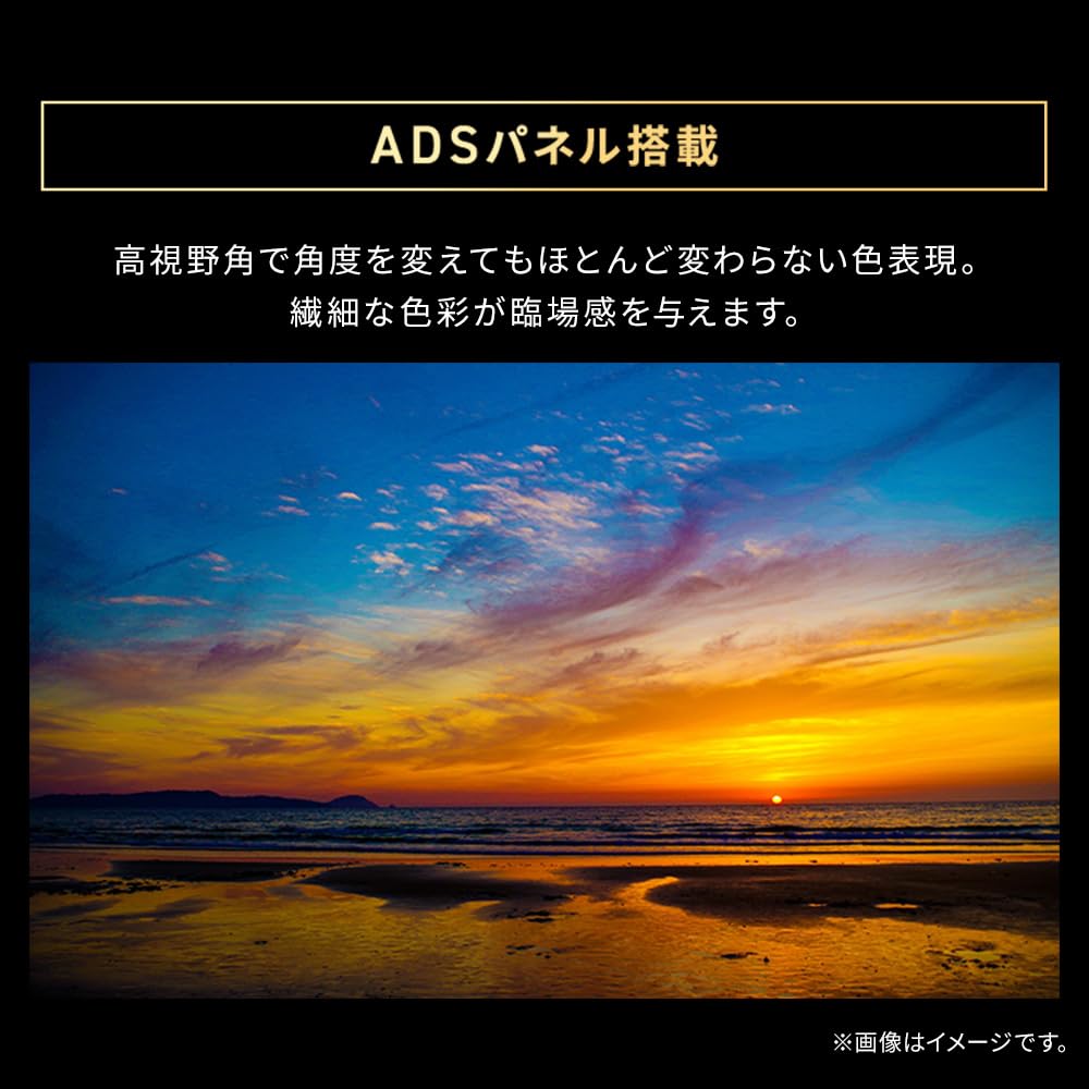 IRIS OHYAMA LCD Monitor with Adjustable Black DT-JF235S-B 23.8-inch Angle,