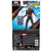 Hasbro Marvel Legends Series Ant-Man, Ant-Man and the Wasp: Quantumania 6-inch (15cm) Action Figure, Ages 4 and Up, F6573, Authentic