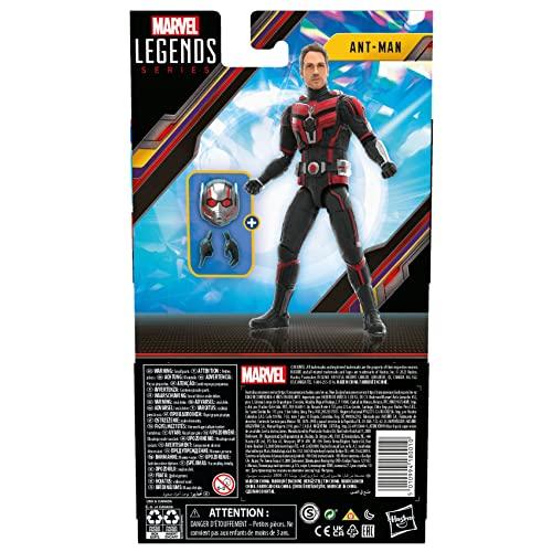 Hasbro Marvel Legends Series Ant-Man, Ant-Man and the Wasp: Quantumania 6-inch (15cm) Action Figure, Ages 4 and Up, F6573, Authentic