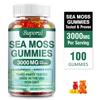 Želé s mořskými řasami, 3000 mg, Extrakt z chaluhy bublinaté a kořene lopuchu, Podpora imunity, Pro dospělé