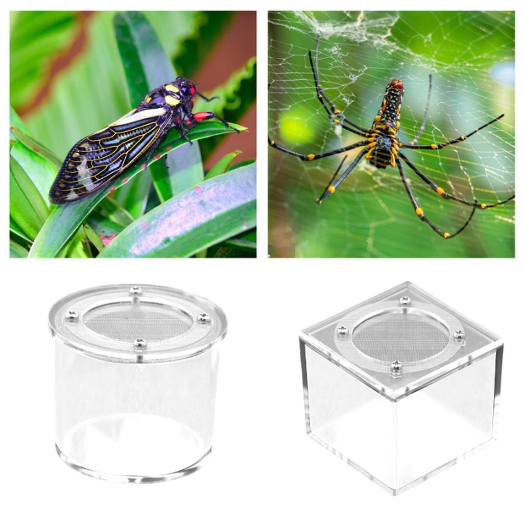 Reptile Breeding Box Spider Box Acrylic Sturdy Small Terrarium Breeding Tank Transparent Reptile Tank for Gecko Scorpions