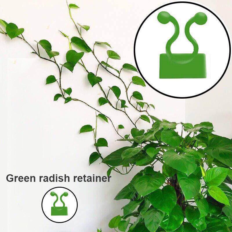 50 Stück Kletterpflanzen Wandclip Rattan Schnalle Haken Rattan Streifen Clip Selbstklebender Befestiger Pflanzenhalter Unsichtbare Halterung