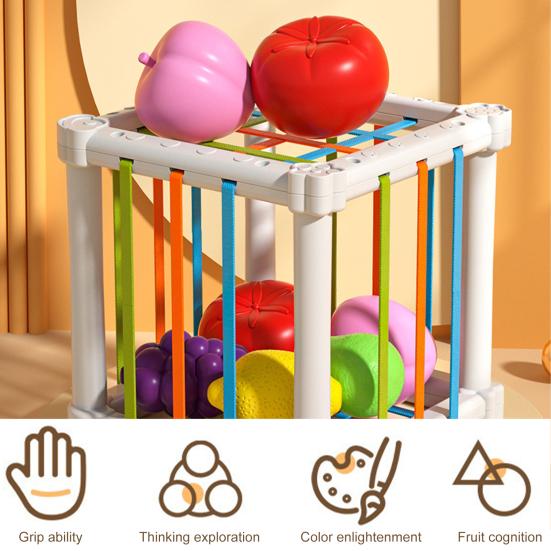 1 Set Rainbow Enhance Fruit Cognitive Toy Set Recognition Color Shape Perfect Sensory Perception for Toddlers