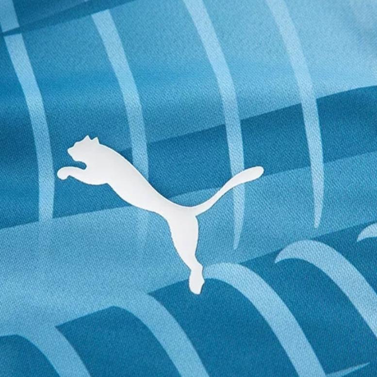 PUMA Striped Print Stand Collar Long Sleeve Soccer Jersey Men Tops Blue 772845-10