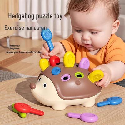 Lernspielzeug für Feinmotorik für Kleinkinder: Igel Hand-Auge-Koordination Puzzle für 1-3 Jährige