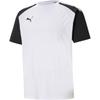 Puma Mens TeamPACER Colour Block T-Shirt