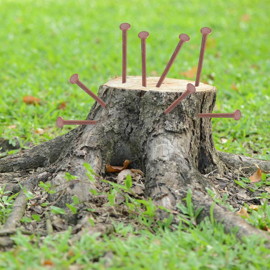 15Pcs Purely Copper Nails Replacement Stump Removal Spikes Hardware Nails for Killing Trees Removing Stumps Copper Nails
