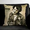 S-Sex Pistolss Band Cushion Cover Pillowcase Ultra Soft Skin Friendly Fabric Cloud Like Comfort & Concealed Zipper