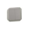 Double Switch or Double Button, 10AX-250V~ Mechanism - Gray, NEW P
