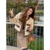 Lamb Wool Coat Women's Autumn and Winter New Short Wool Coat Retro Loose Padded Plush Top