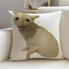 P-Funny Cat Meme Cushion Cover Natural Linen Pillowcase Set, All-In-One Decor For Sofa, Bedroom & Chair