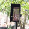Parasole Parasole Magnetico Pieghevole Parasole per Cellulare Tettoia Blocca Sole per Telefoni Portatile Protezione Antiriflesso Accessori